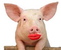 pig with lipstick